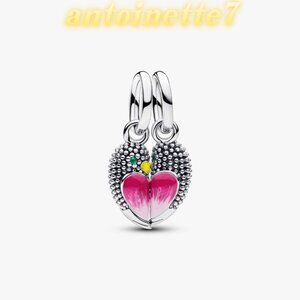 Pandora Love Birds Splittable Dangle Charm